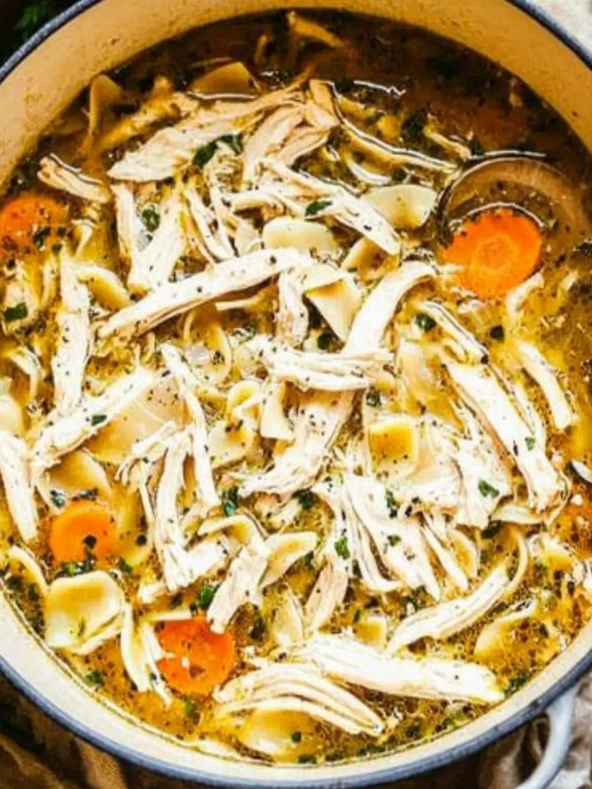 Savory Chicken Noodle Soup to Warm Your Soul 2 Chicken Noodle Soup